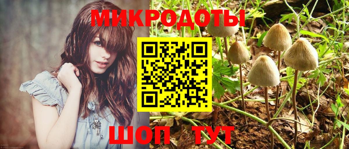 Псилоцибиновые грибы мухоморы  купить  сайты  Славянск-на-Кубани  Вход с VPN 