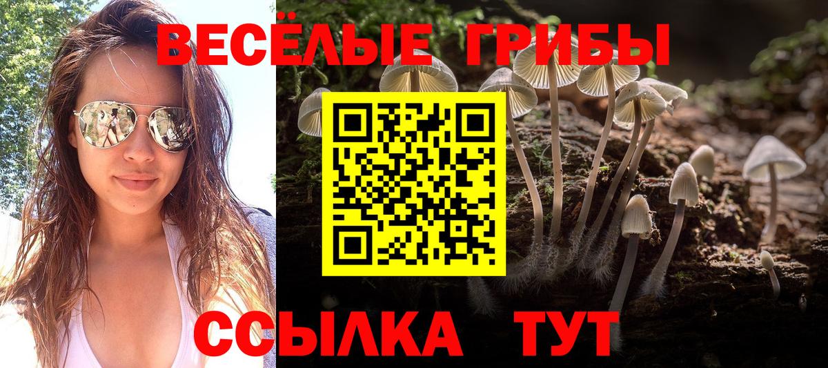 Галлюциногенные грибы ЛСД Славянск-на-Кубани
