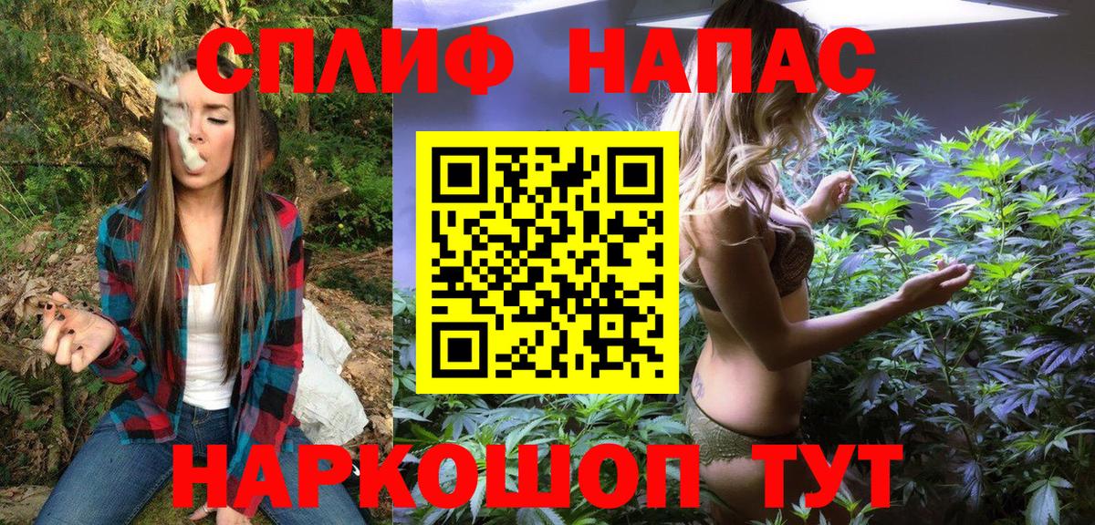 Славянск-на-Кубани  Канабис конопля  Конопля THC 21%  Вход с VPN 